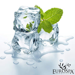 EuroSpa Aromatics eucalyptus duo-pack label shows premium aromatherapy for home spa routines.