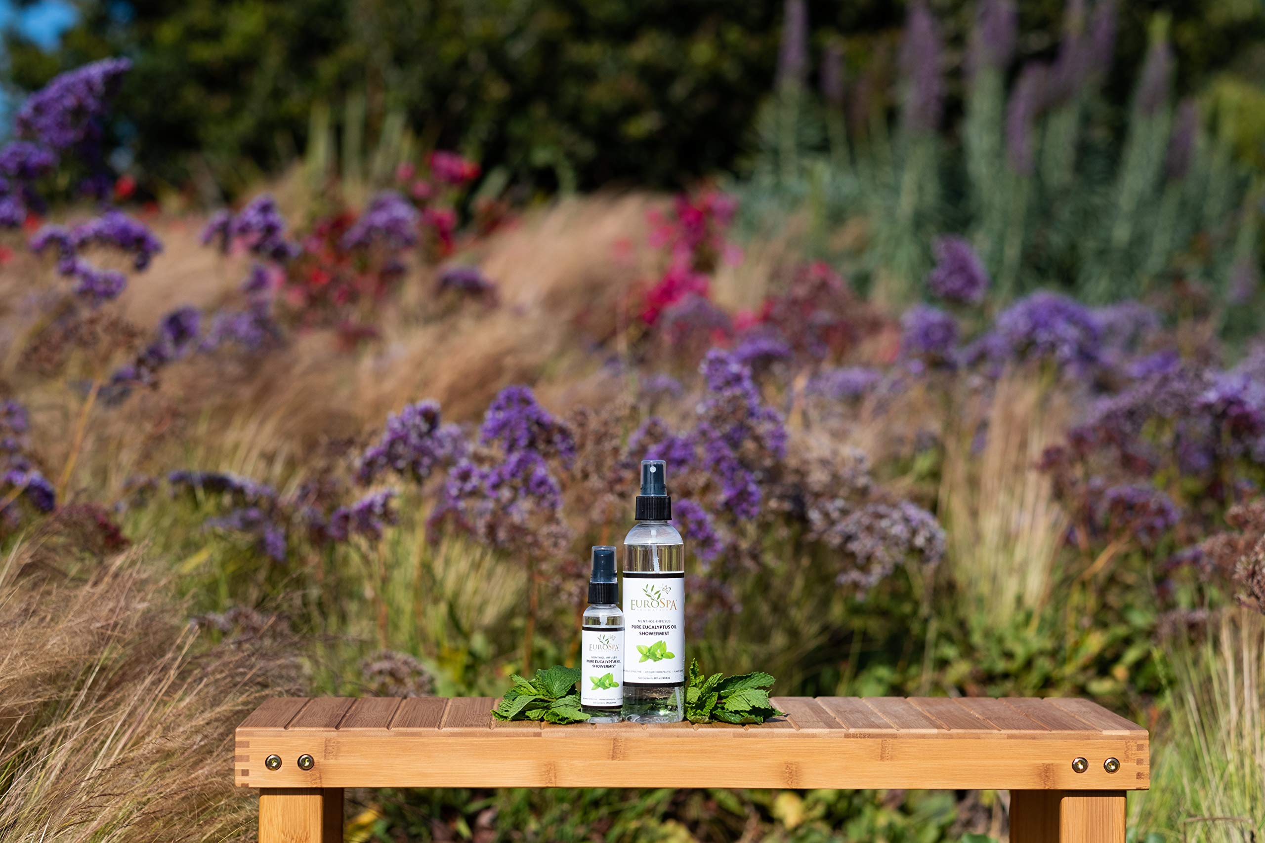 EuroSpa Aromatics home-spa setup shot invites tranquil rituals with eucalyptus scent.