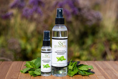 EuroSpa Aromatics menthol-infused eucalyptus closeup highlights invigorating scent.