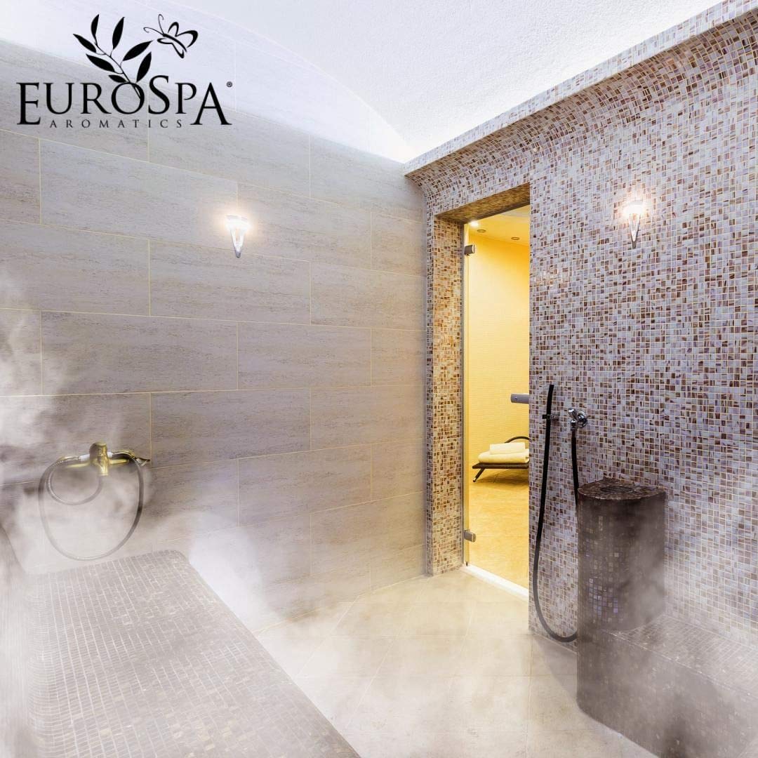 EuroSpa Aromatics steam-diffusion shot demonstrates refreshing mist in a shower setting.
