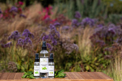 EuroSpa Aromatics travel-size eucalyptus oil for on-the-go refreshing showers.