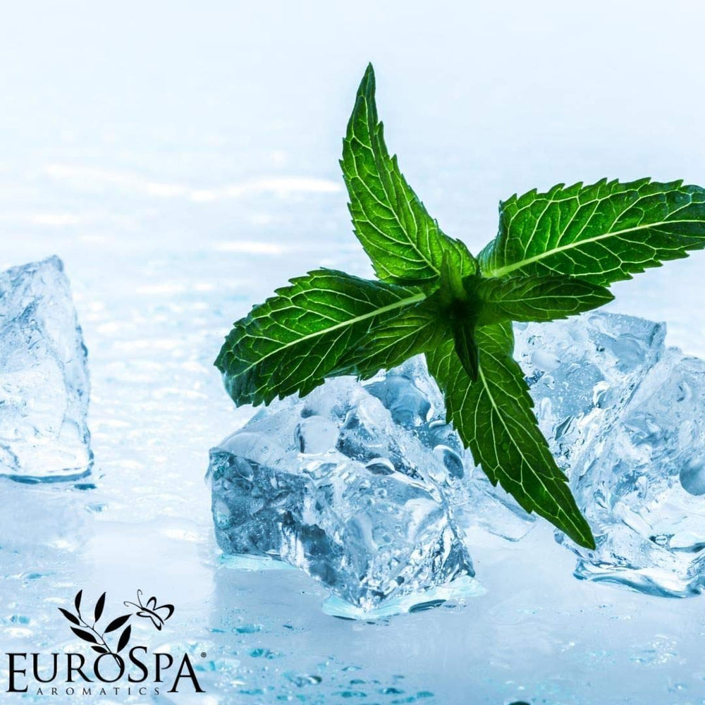 EuroSpa Aromatics two-pack offers value for home aromatherapy sessions