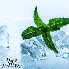 EuroSpa Aromatics two-pack offers value for home aromatherapy sessions