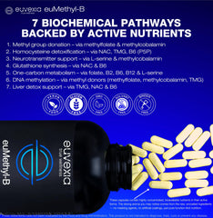 Euvexia euMethyl-B 90-day supply packaging concept showing value