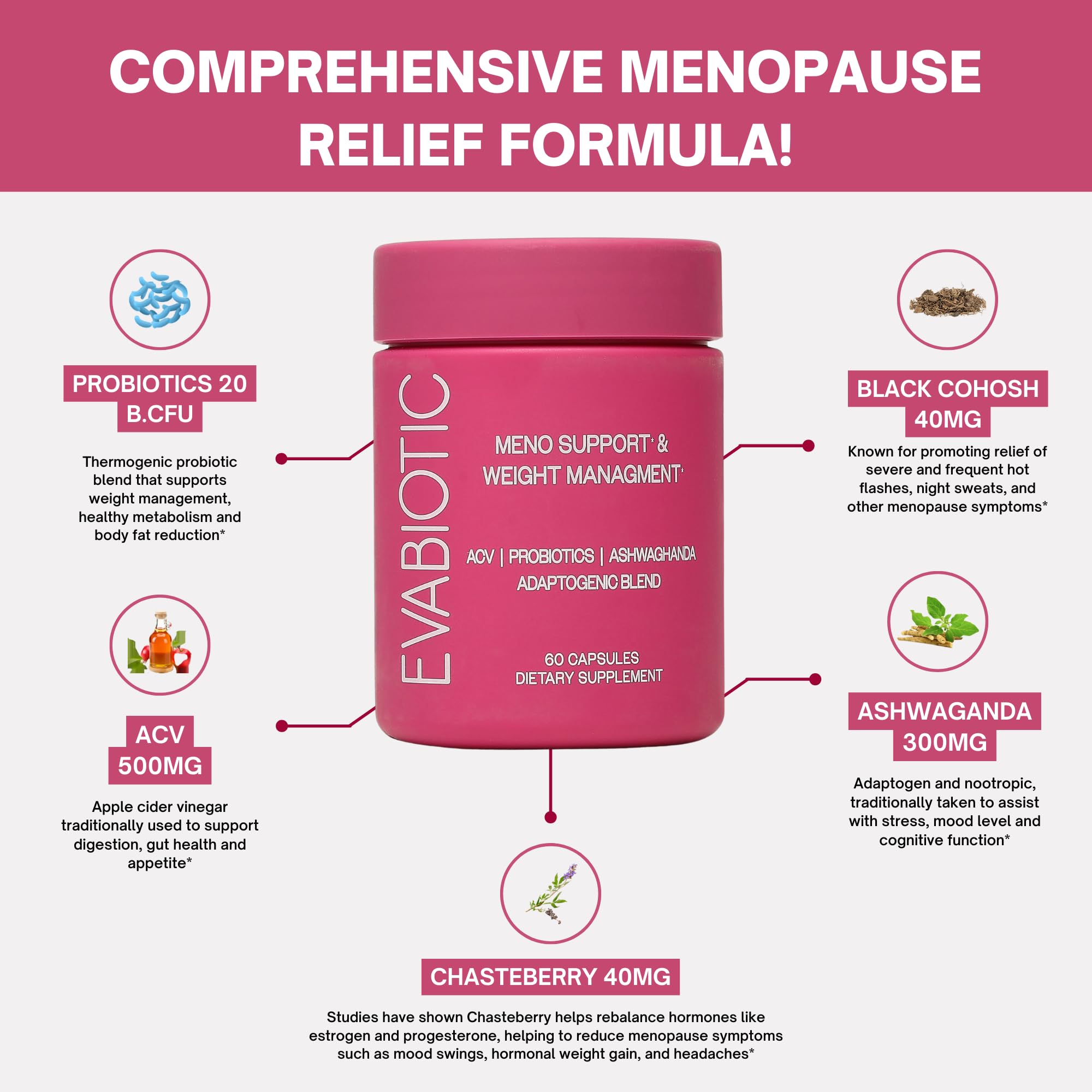 EVABIOTIC Complete Menopause probiotic blend close-up for gut health