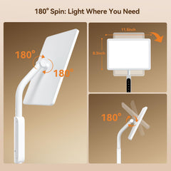 EVATEALE home-office and living-room setup with versatile lighting