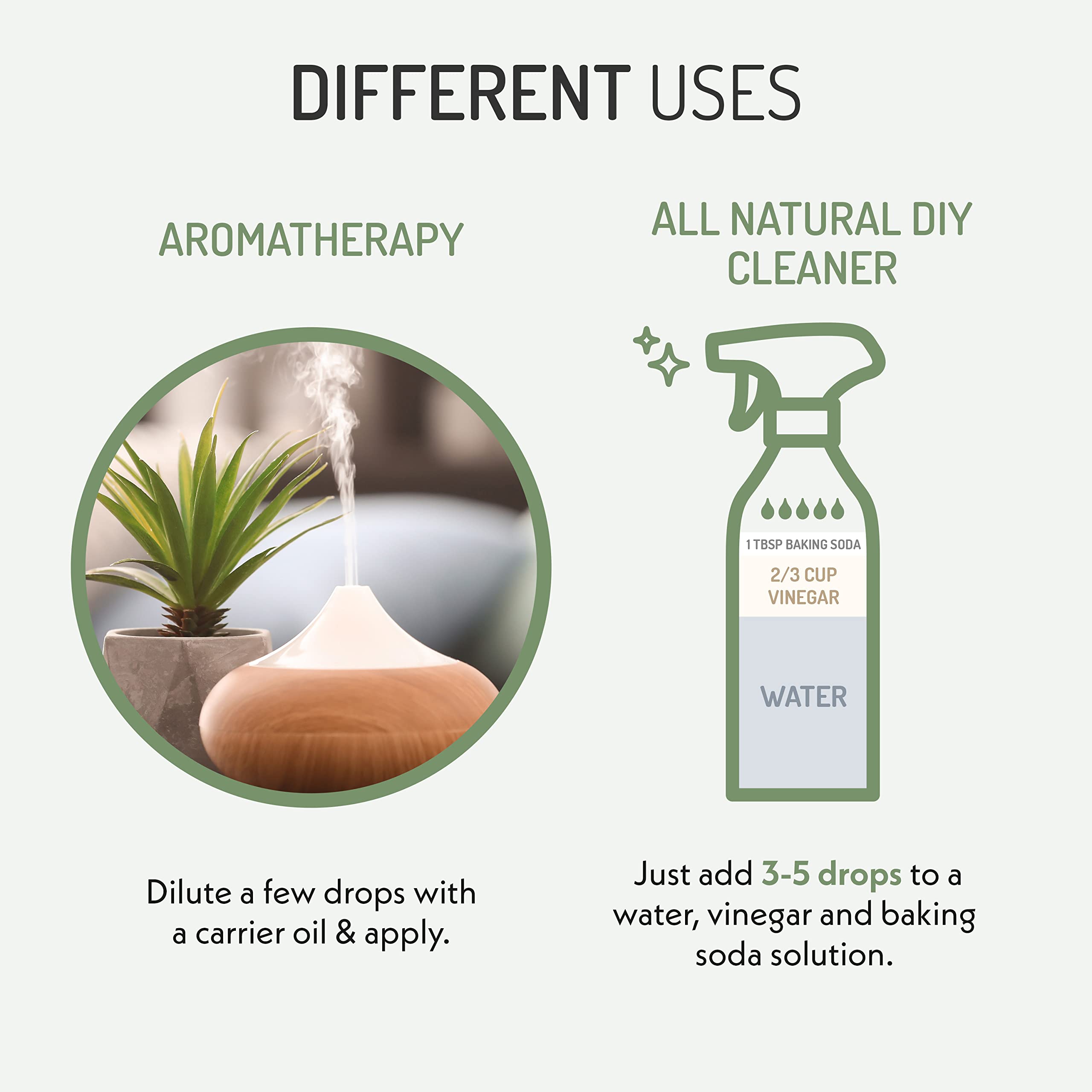 Blend ideas with Eve Hansen Eucalyptus Oil for refreshing scents
