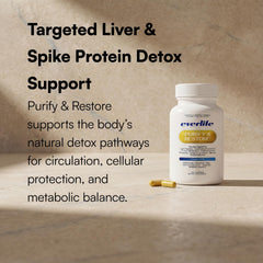 Everlife capsules dissolving in water suggests easy daily use.