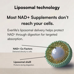 Everlife NadPlus liquid shot being poured shows quick absorption potential.
