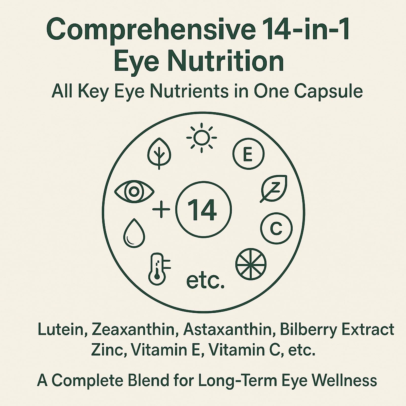 EverVision zinc vitamin E eye protection capsules aid oxidative defense.