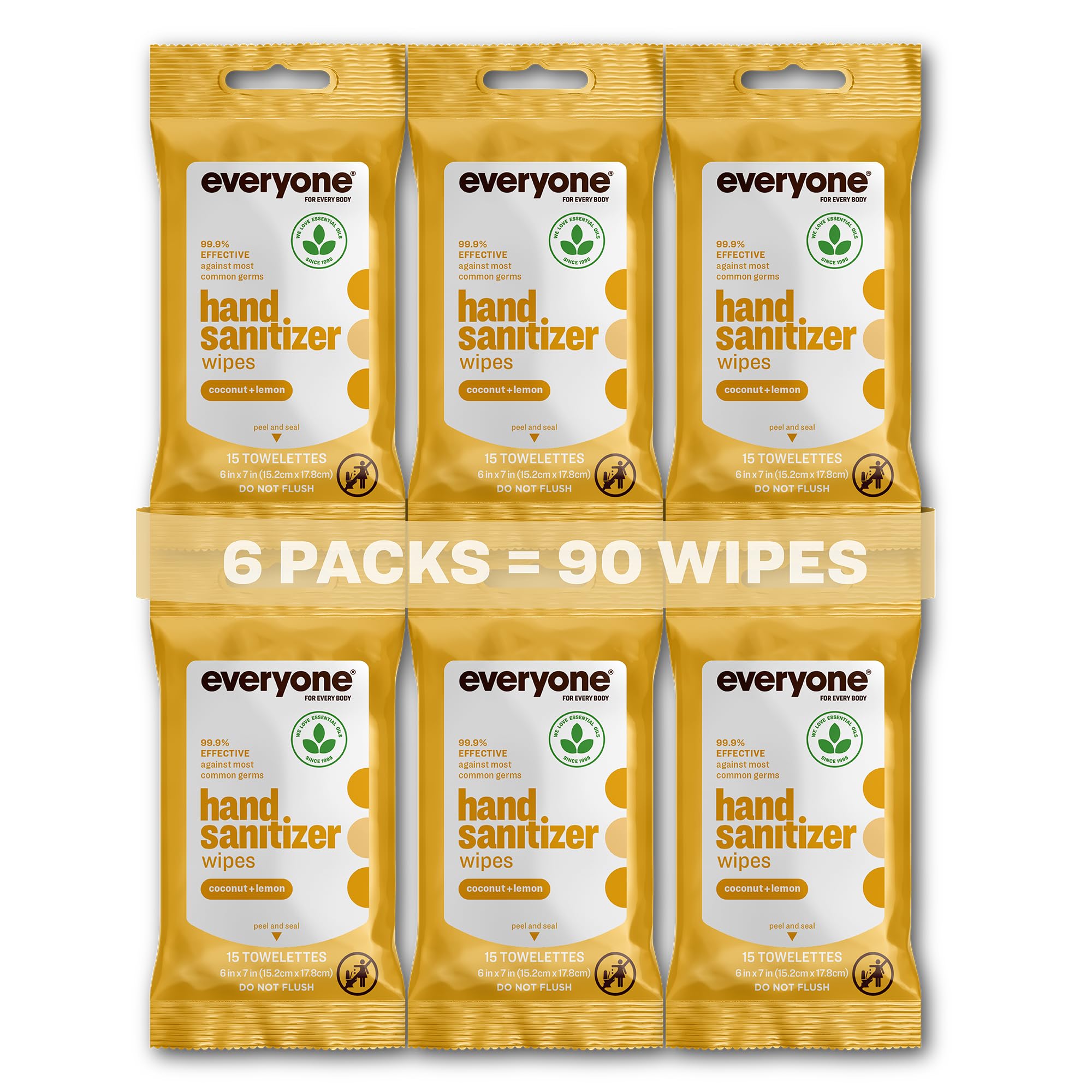 Everyone Hand Sanitizer Wipes packaging with six resealable packs for on-the-go protection.
