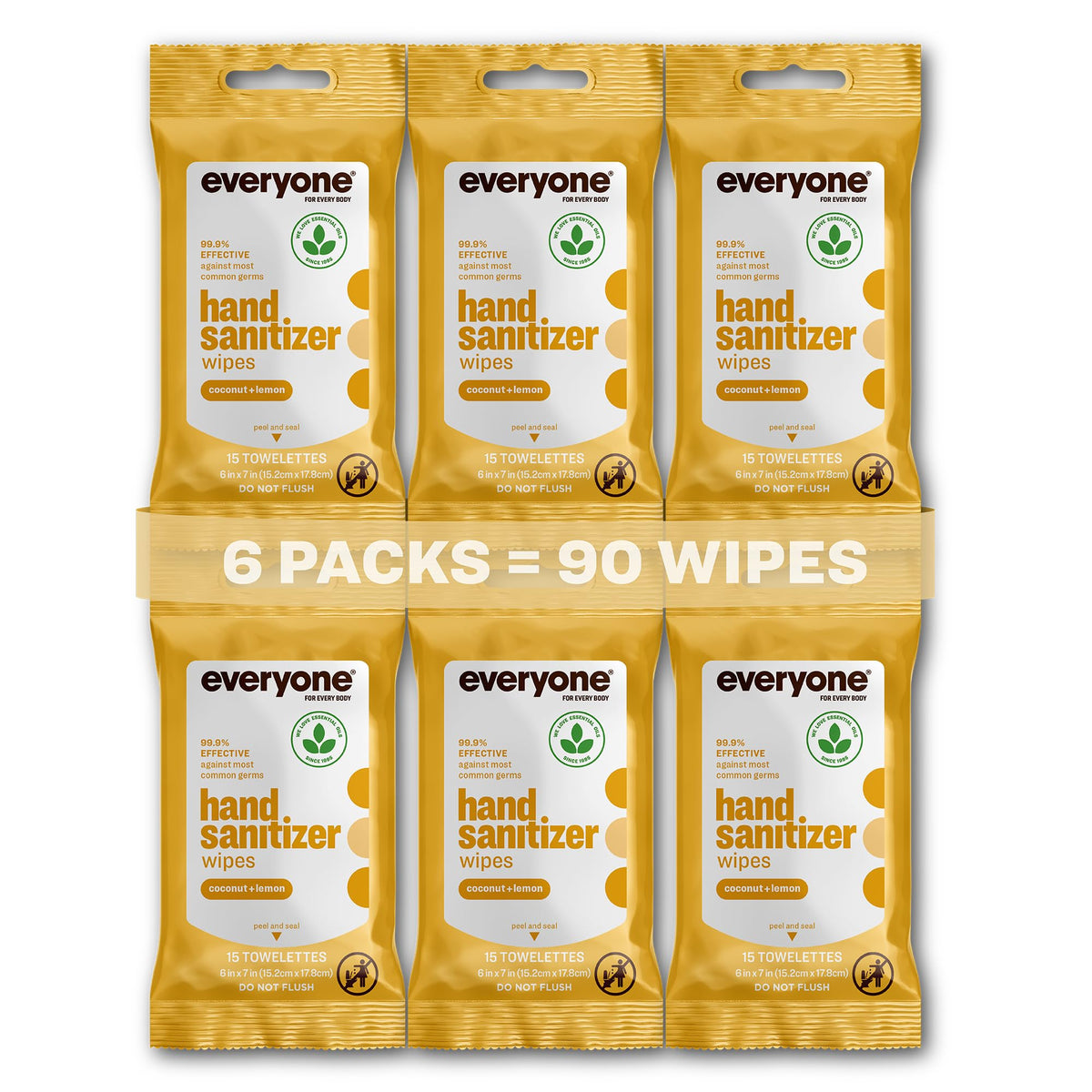 Everyone Hand Sanitizer Wipes packaging with six resealable packs for on-the-go protection.