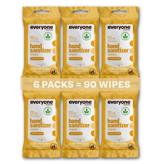 Everyone Hand Sanitizer Wipes packaging with six resealable packs for on-the-go protection.