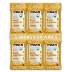 Everyone Hand Sanitizer Wipes packaging with six resealable packs for on-the-go protection.