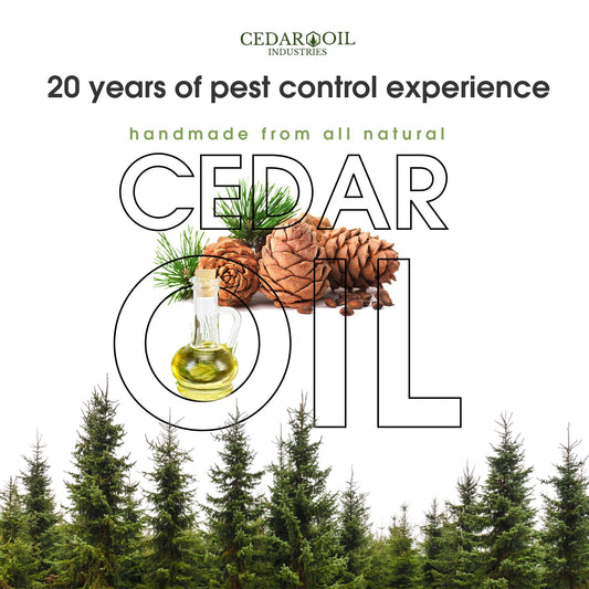 Dr Ben's Evictor Cedar Oil Spray mist for quick spot treatment.