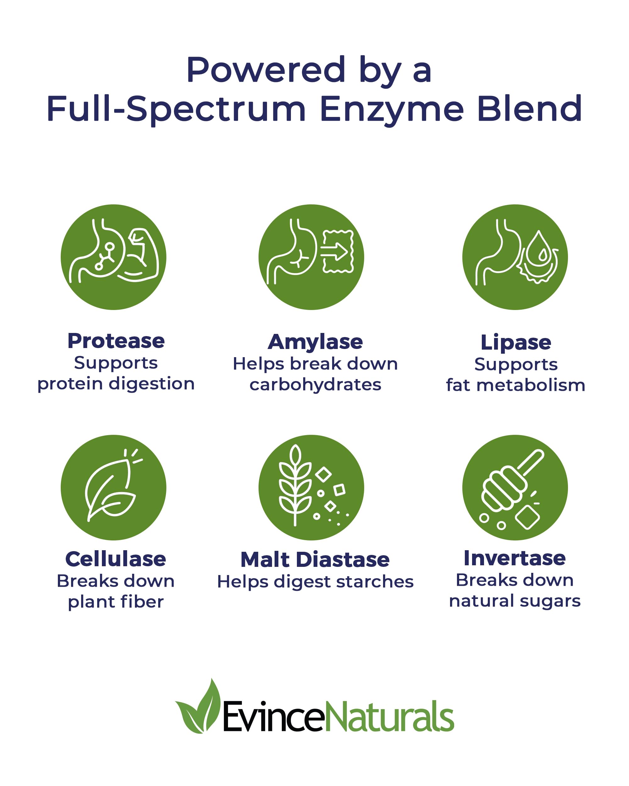 DigestPlus label close-up emphasizing the enzyme blend for wellness-minded nourishment