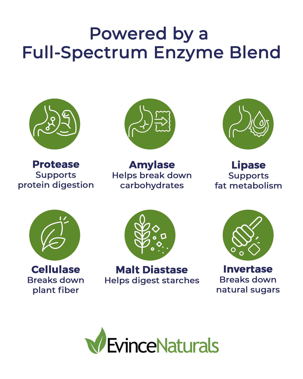DigestPlus label close-up emphasizing the enzyme blend for wellness-minded nourishment