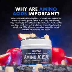 Gym scene with Evogen Amino K.E.M. on the shelf for active training support.