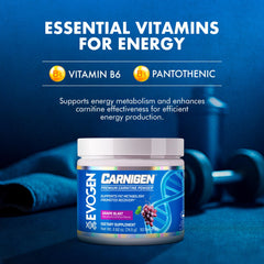 Evogen Carnigen bottle label references Acetyl-L-Carnitine benefits