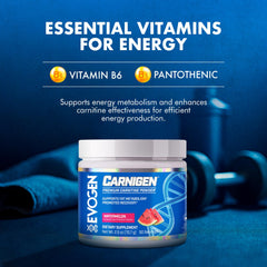 Evogen Carnigen gym shot suggests stimulant-free energy during training sessions