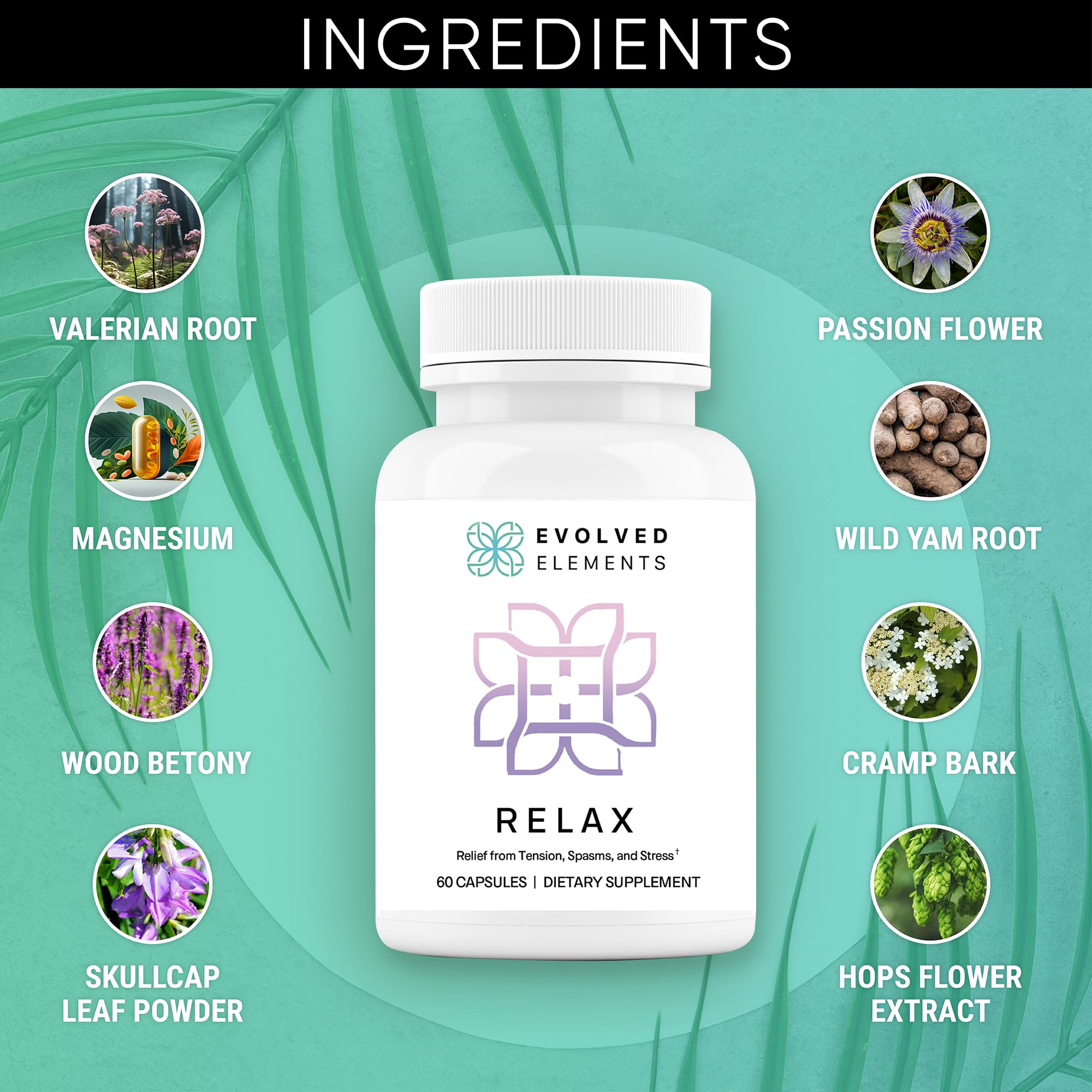Evolved Elements calcium and magnesium capsules supporting healthy muscle function