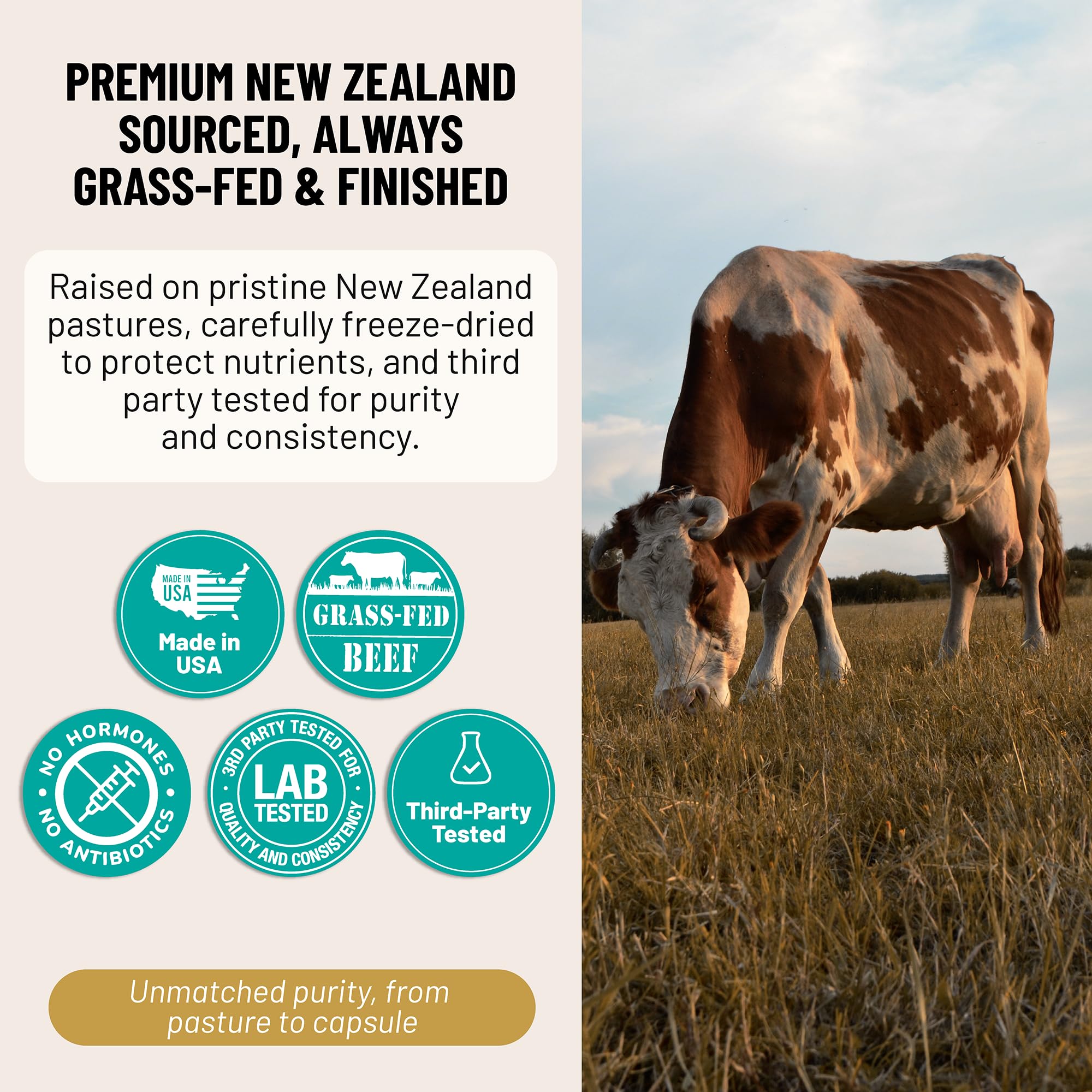 Freeze-dried desiccation preserves nutrients in Evolved Elements Beef Liver Gentle.