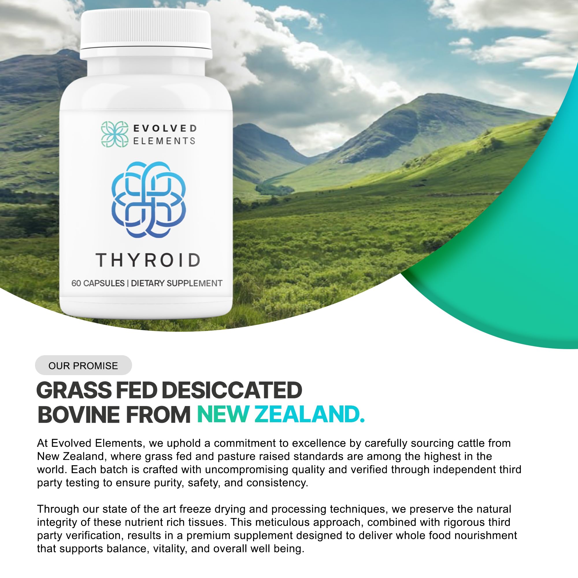 Evolved Elements Thyroid lyophilization process graphic preserves natural attributes
