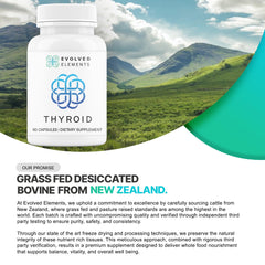 Evolved Elements Thyroid lyophilization process graphic preserves natural attributes