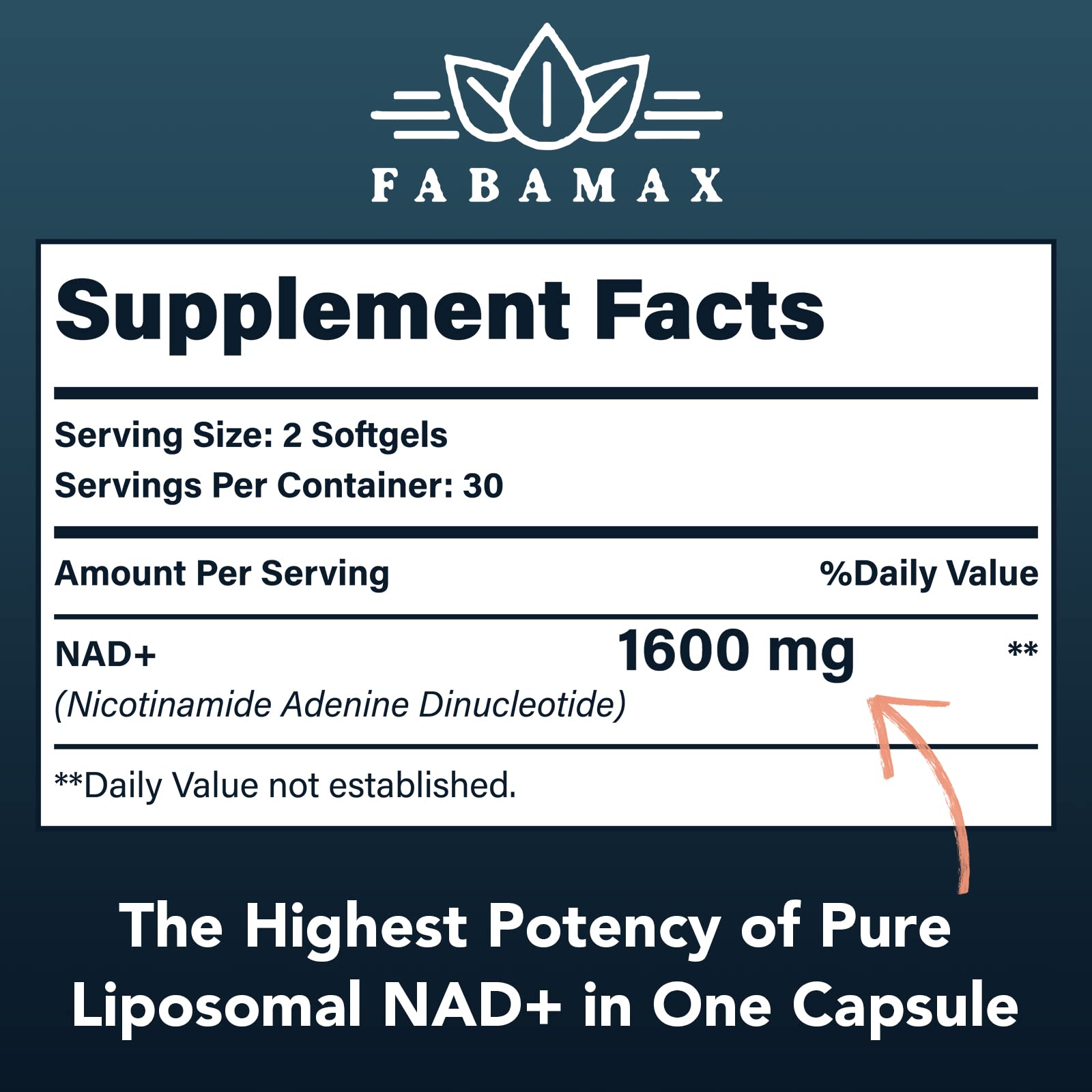 Fabamax NAD+ 1600 mg illustration emphasizes high-potency absorption.