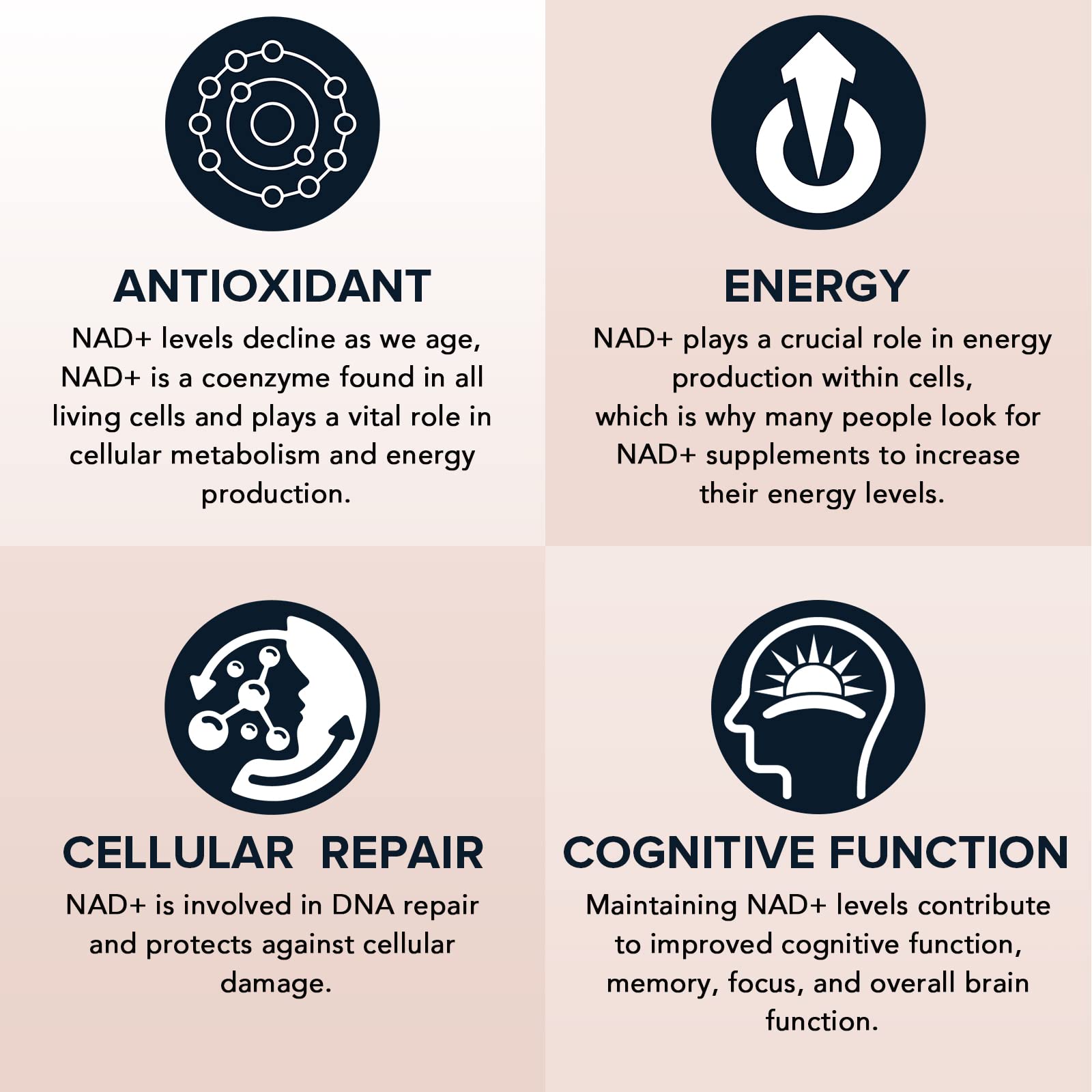 Fabamax NAD+ bottle on desk suggests at-home energy support routine.