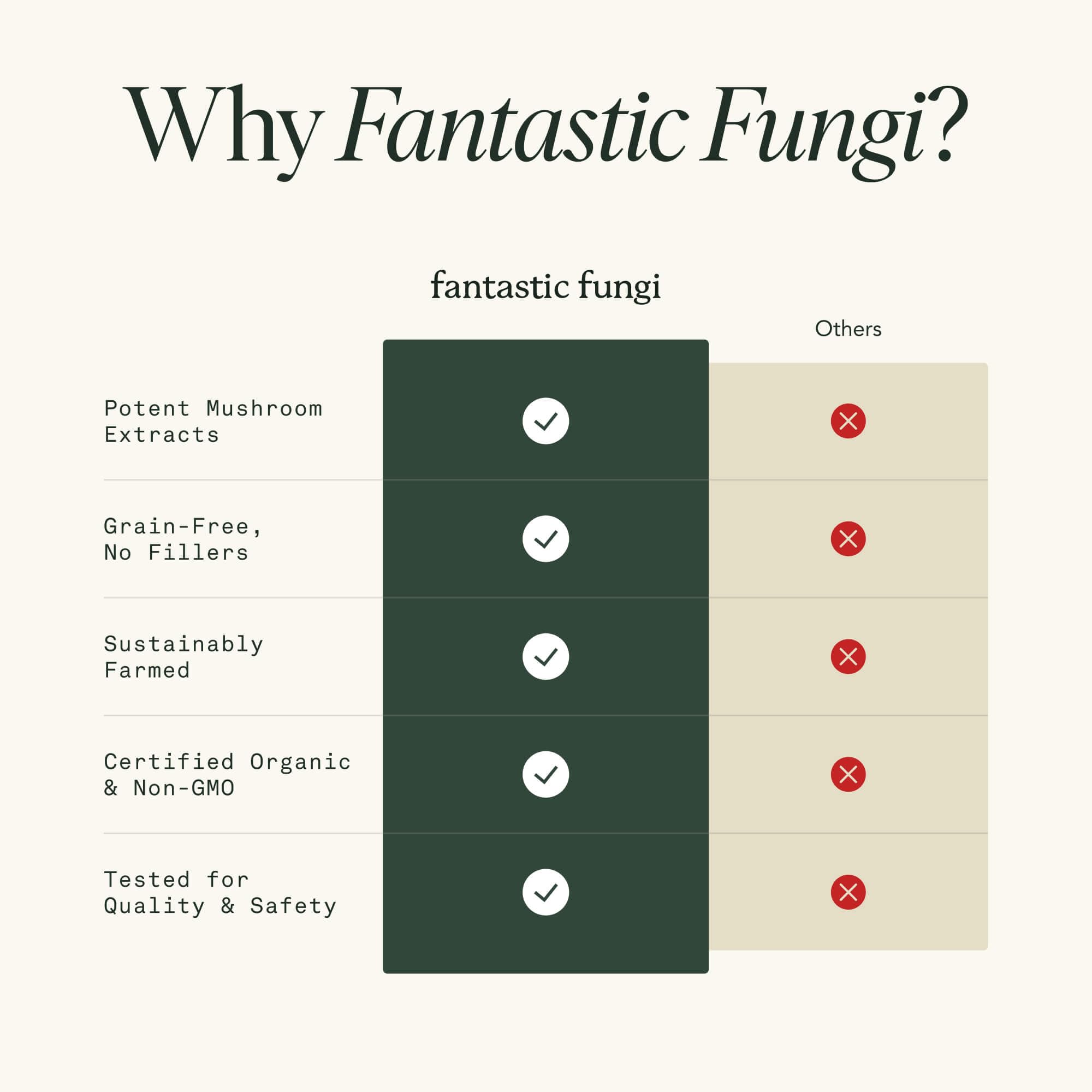 Fantastic Fungi 120 capsules supply packaged for convenient routine.