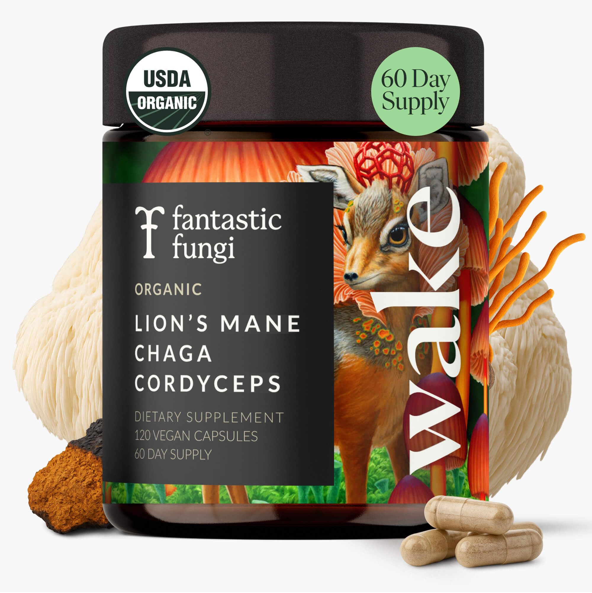 Fantastic Fungi bottle closeup with capsules for focus and energy.