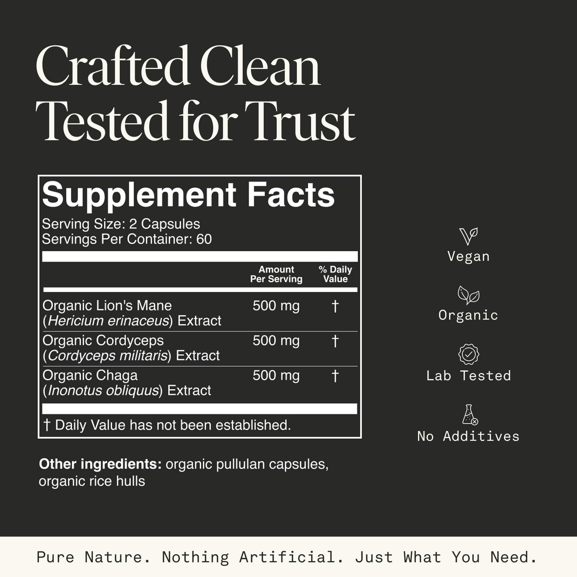 Fantastic Fungi capsules arranged for brain support and mental clarity.