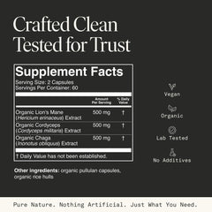 Fantastic Fungi capsules arranged for brain support and mental clarity.