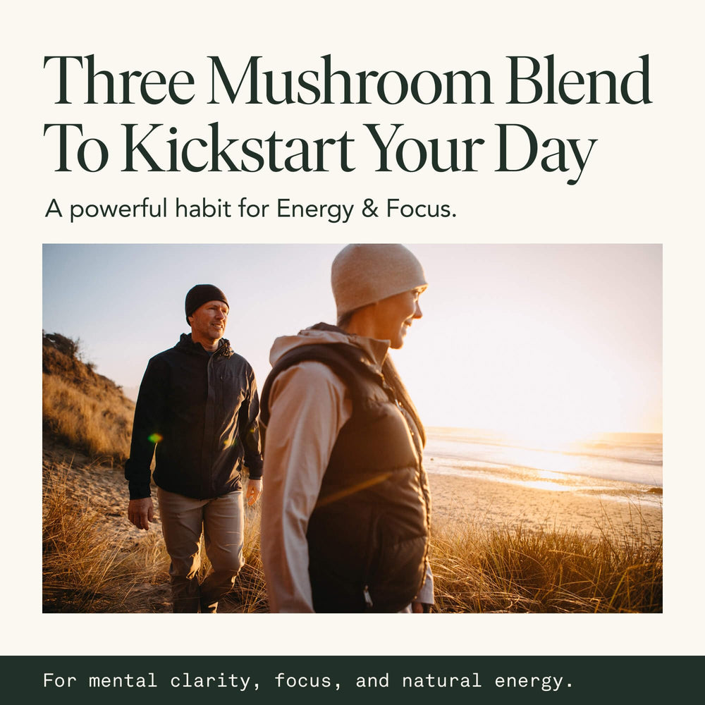 Fantastic Fungi ingredients sheet shows lion’s mane, cordyceps, and chaga.