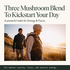 Fantastic Fungi ingredients sheet shows lion’s mane, cordyceps, and chaga.