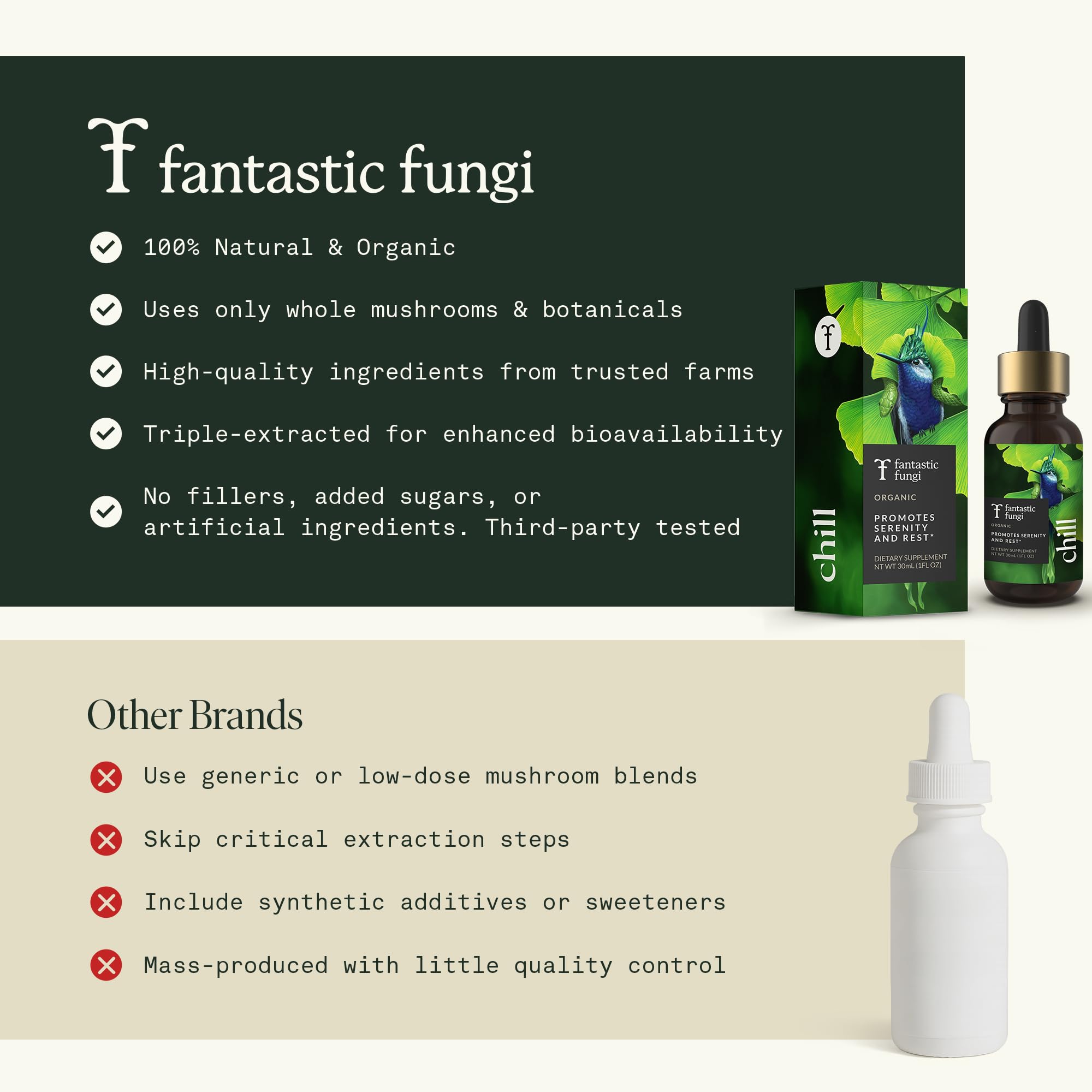 Fantastic Fungi mood-support tincture in glass bottle signals calm moment.