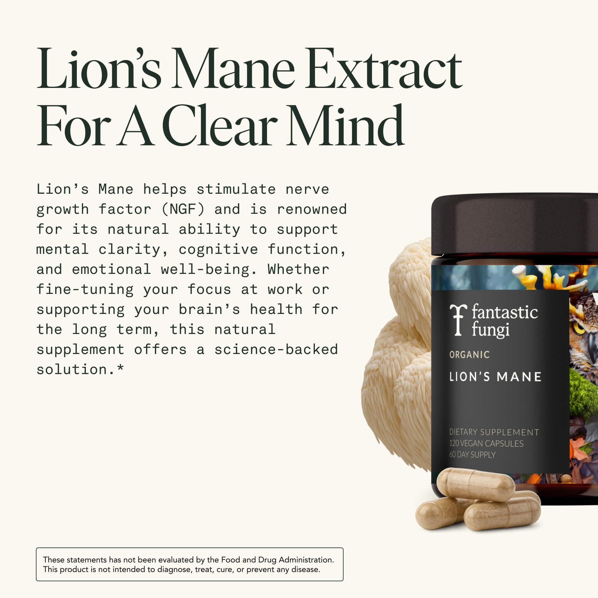 Fantastic Fungi Lions Mane capsules on counter for easy daily use