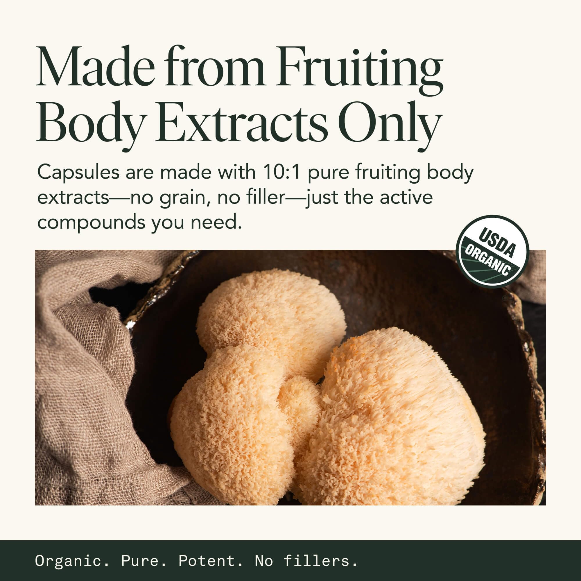 Fantastic Fungi Lions Mane vegan and gluten-free seal on packaging