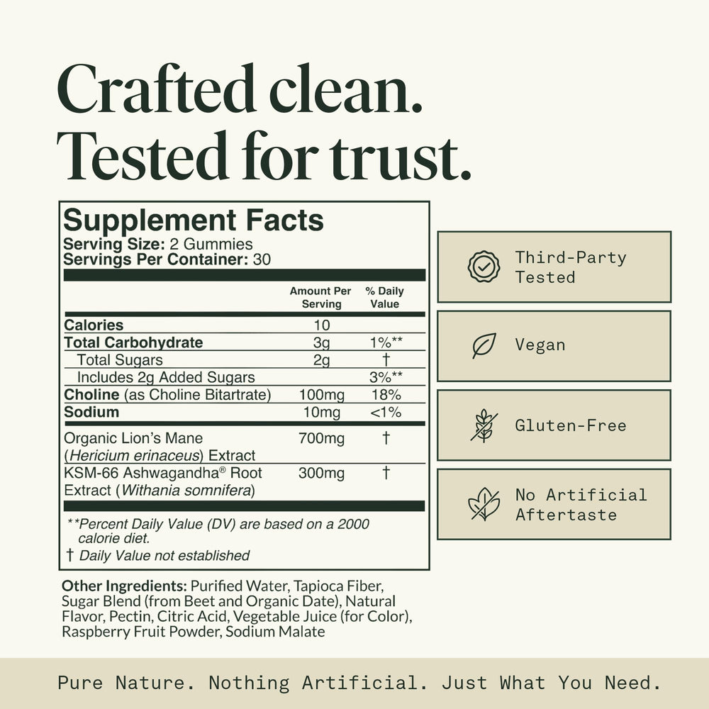 Fantastic Fungi Memory Gummies bottle with ingredients highlights for focus.