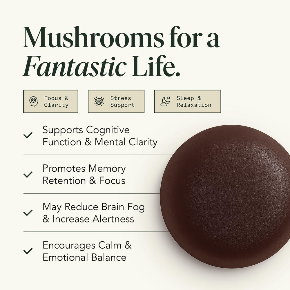 Fantastic Fungi Memory Gummies close-up of raspberry flavor and chewy texture.