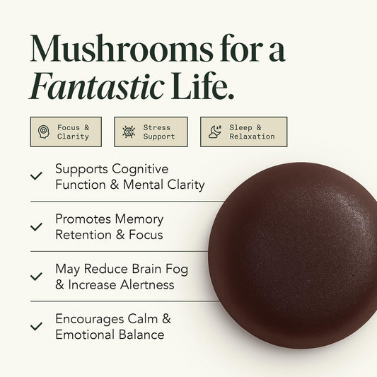 Fantastic Fungi Memory Gummies close-up of raspberry flavor and chewy texture.