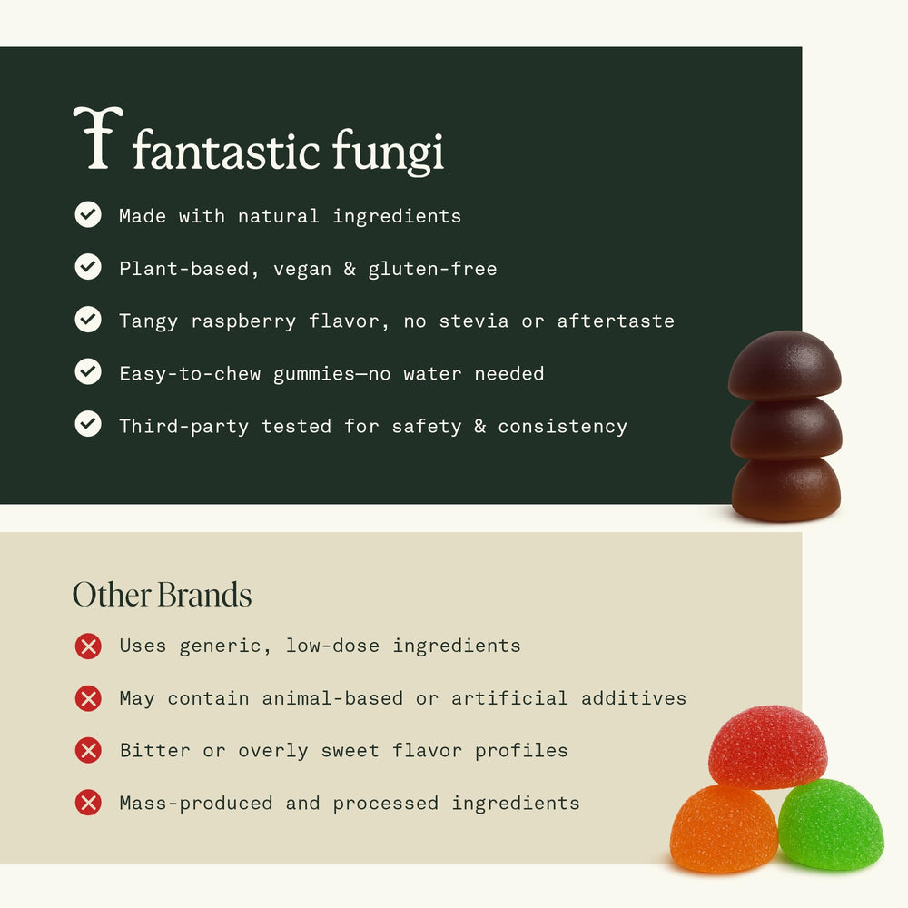 Fantastic Fungi Memory Gummies daily-use scene showing steady focus.
