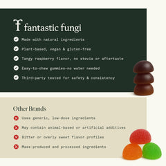 Fantastic Fungi Memory Gummies daily-use scene showing steady focus.