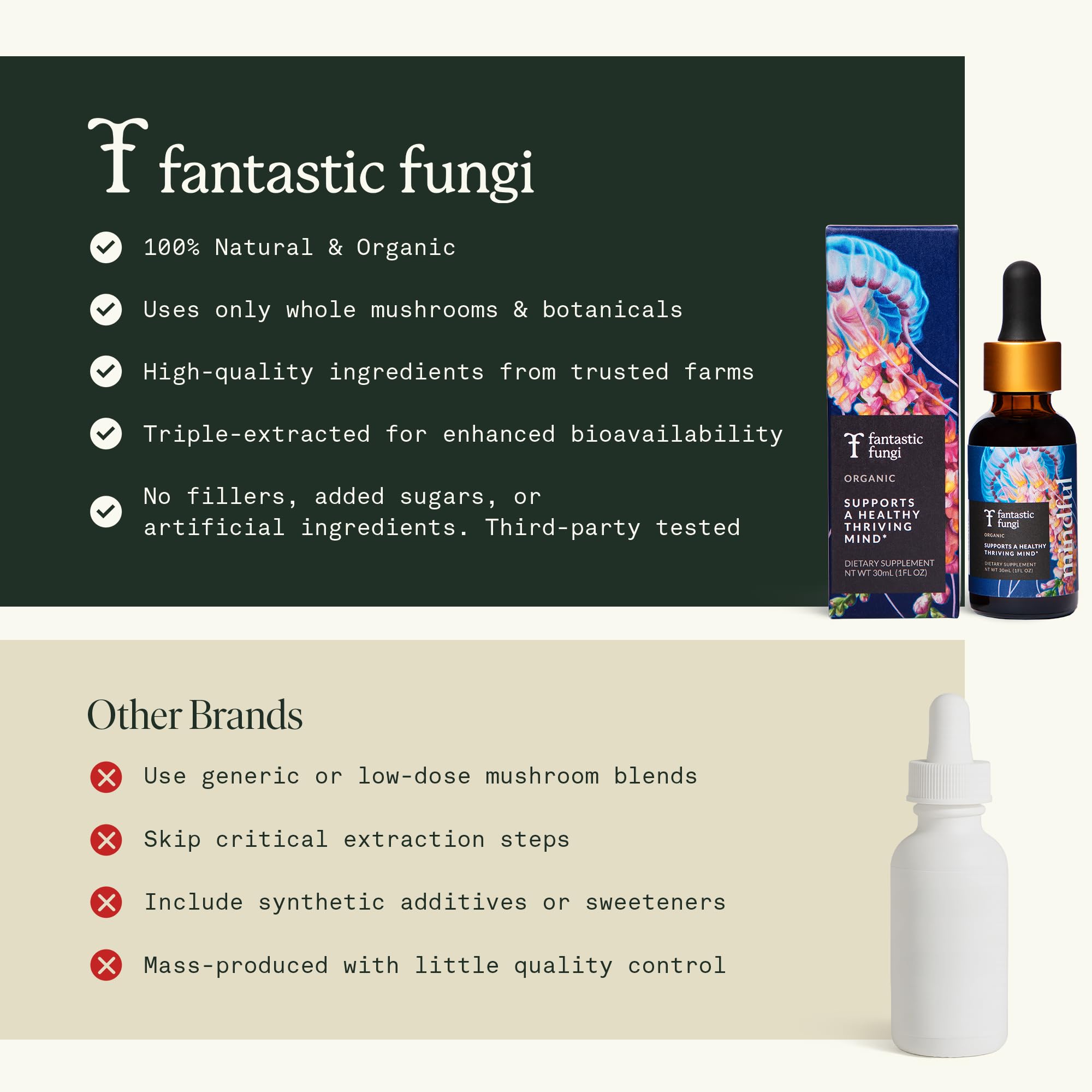 Fantastic Fungi Plant-based cognitive support visual communicates natural focus potential