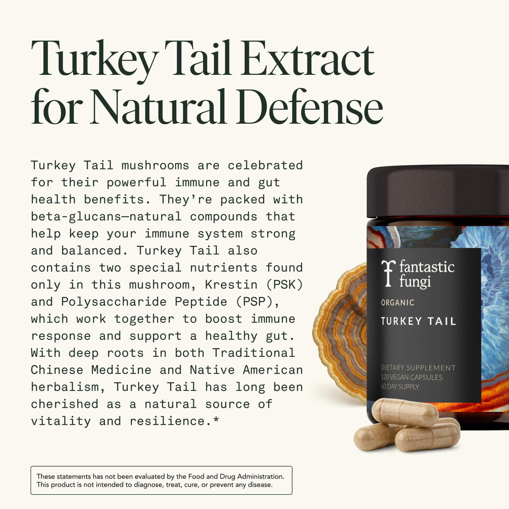Fantastic Fungi Turkey Tail bottle on shelf signals premium mushroom support.