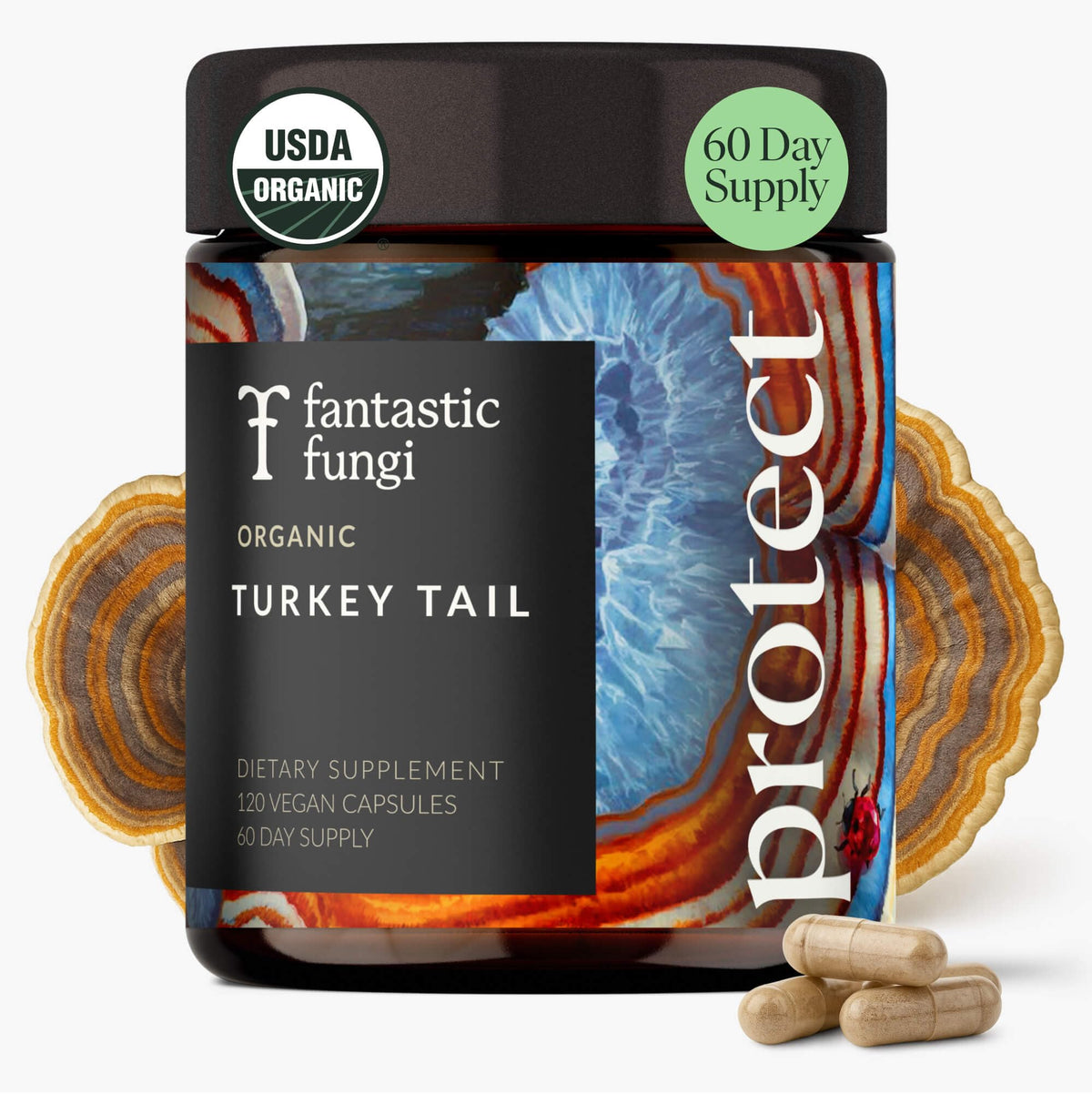 Fantastic Fungi Turkey Tail capsules bottle ready for daily immune support.