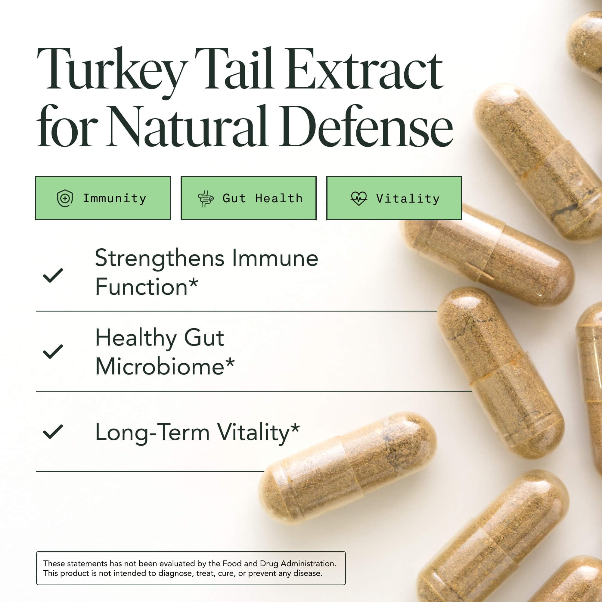 Fantastic Fungi Turkey Tail capsules close-up for convenient daily vegan use.