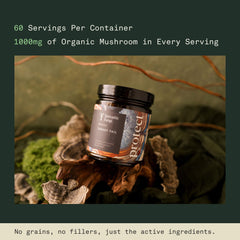 Fantastic Fungi Turkey Tail capsules spilling from bottle emphasize easy daily intake.