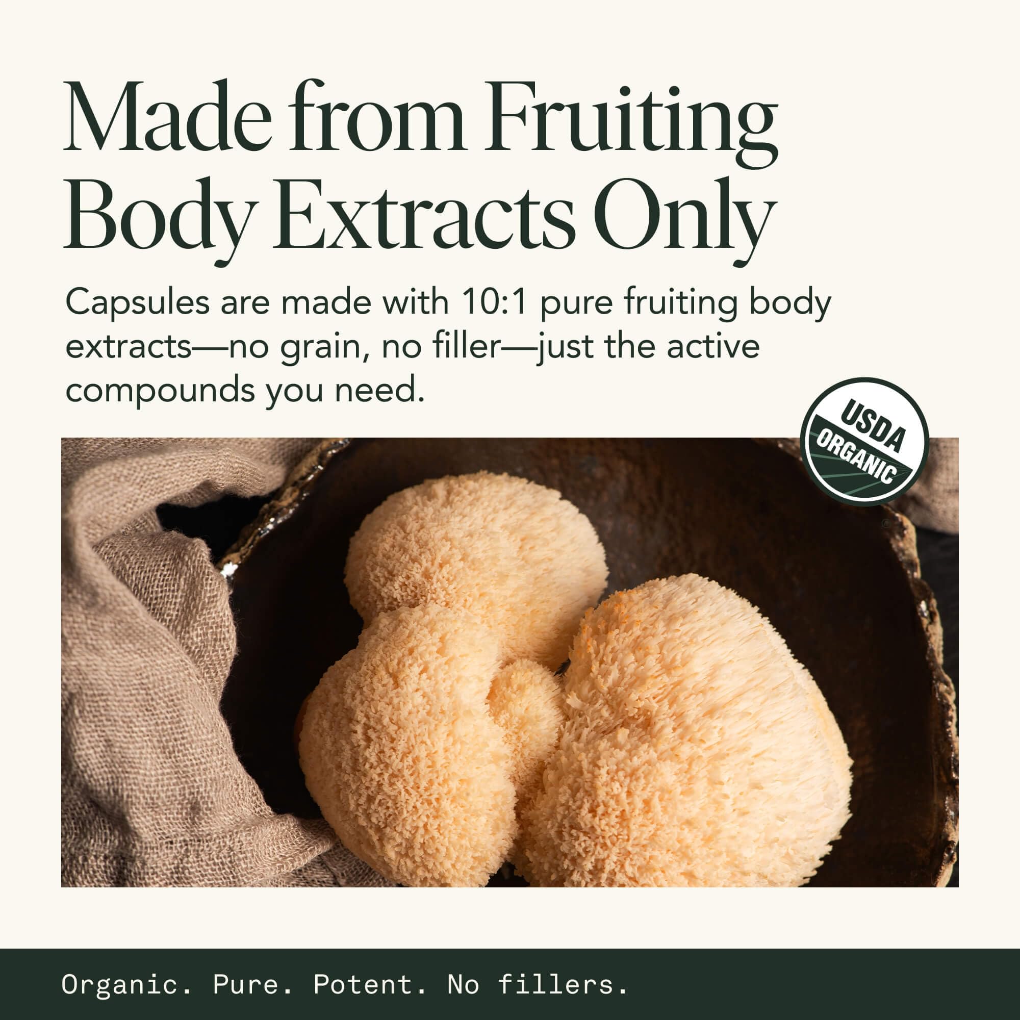 Fantastic Fungi two capsules ready for daily use with meals.